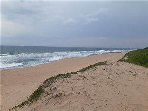 125 ha Farm in Blythedale Beach
