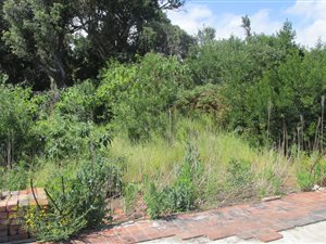 2103 m² Land available in Knysna Heights