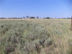 Farm in Bronkhorstspruit