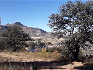 3011 m² Land available in Clarens