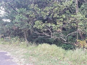 1077 m² Land available in Eshowe