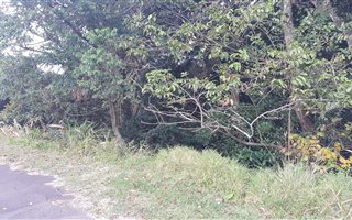 1077 m² Land available in Eshowe