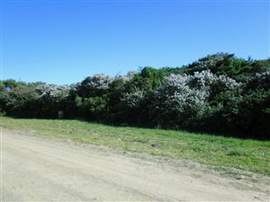 779 m² Land available in Cannon Rocks