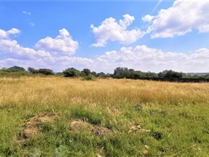 1.3 ha Land available in Southern Gateway