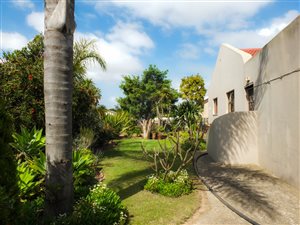 3 Bed House in Bos En Dal