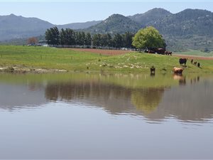 131.2 ha Farm in Malmesbury