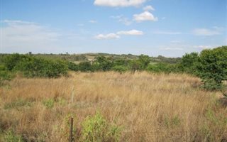5 ha Land available in Rietfontein