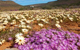 5340 ha Farm in Clanwilliam