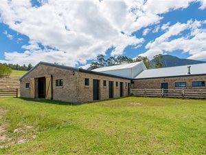 12 ha Farm in Blanco
