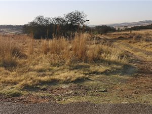 1.3 ha Land available in Walkerville