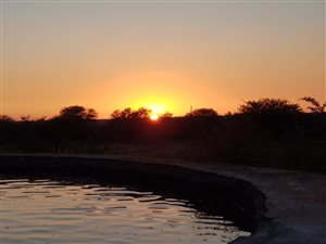 893 ha Farm in Louis Trichardt