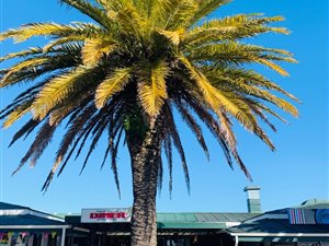 140 m² Retail Space in Langebaan Central