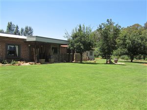 4.6 ha Smallholding in Bainsvlei