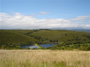 921 m² Land available in Plettenberg Bay