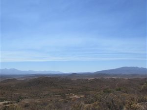 212 ha Farm in Ladismith