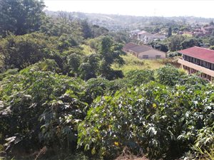 2468 m² Land available in Marburg