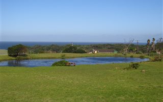 1658 m² Land available in Glen Eden