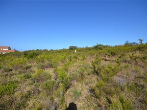 1900 m² Land available in Schoongezicht