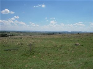 21.4 ha Land available in Doornrandje