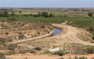 5 ha Farm in Citrusdal