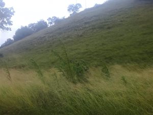 3915 m² Land available in Crestview