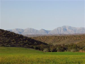 251 ha Farm in Ladismith