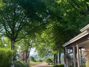 3714 m² Land available in Howick West