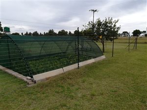 1 ha Farm in Randridge