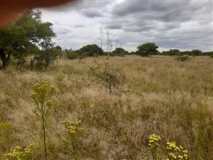 1.7 ha Land available in Eduanpark
