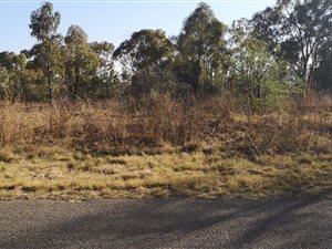 1 ha Land available in Walkerville