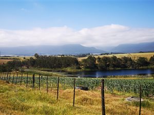 55 ha Farm in George Rural
