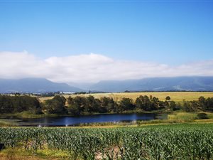 55 ha Farm in George Rural