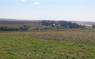 335 ha Farm in Bethlehem