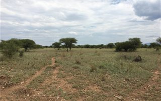 735 ha Farm in Roedtan