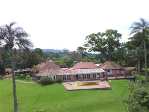 7 ha Farm in Claridge