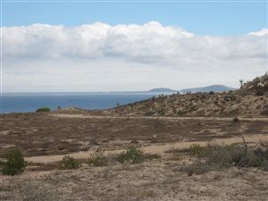 2.1 ha Land available in Olifantskop