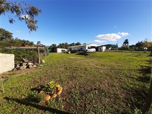 12.1 ha Farm in Northern Paarl