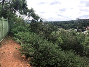 2490 m² Land available in Meyerspark