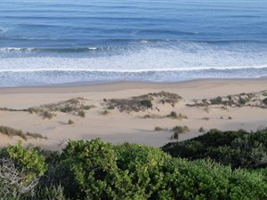 1247 m² Land available in Dana Bay