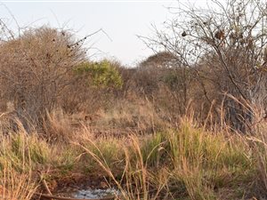 875 m² Land available in Seasons Lifestyle Estate