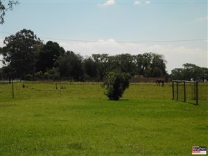 Farm in Delmas