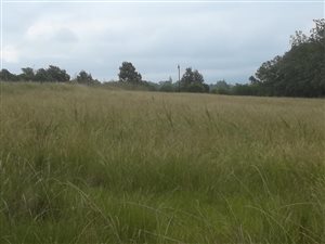 22.8 ha Farm in Merrivale