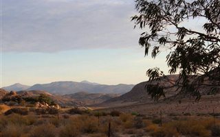 205.2 ha Farm in Springbok