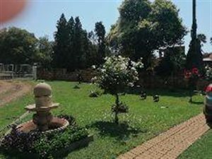 27.9 ha Farm in Kameelfontein and surrounds