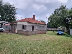 10 Bed House in Sunnyside