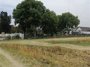 House in Diepsloot