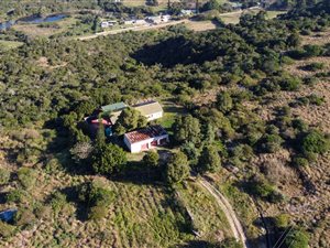 22.4 ha Farm in East London Central