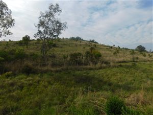 36 ha Farm in Mookgophong (Naboomspruit)