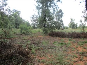 2.2 ha Farm in Valley Settlements AH