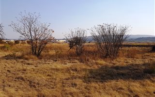 7788 m² Land available in Derdepoort